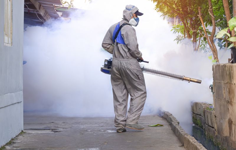 Fly Pest Control in Mckinney, TX