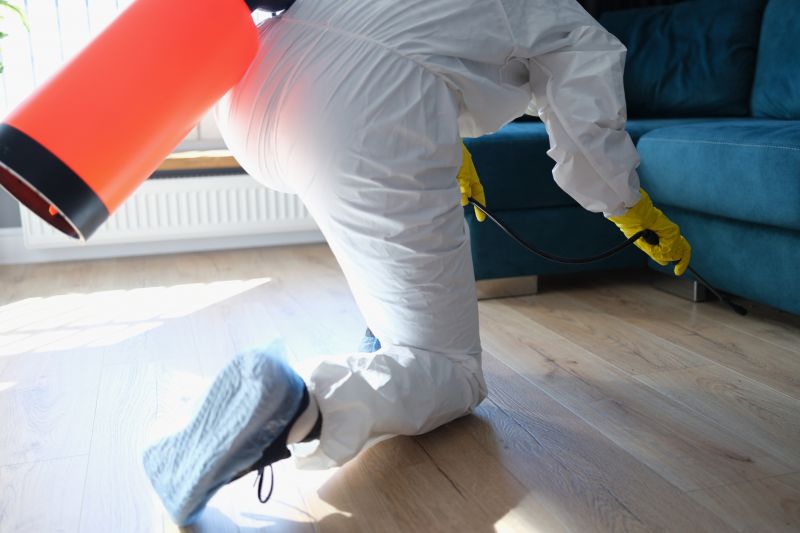 Rat Fumigation Service in Winston Salem, NC