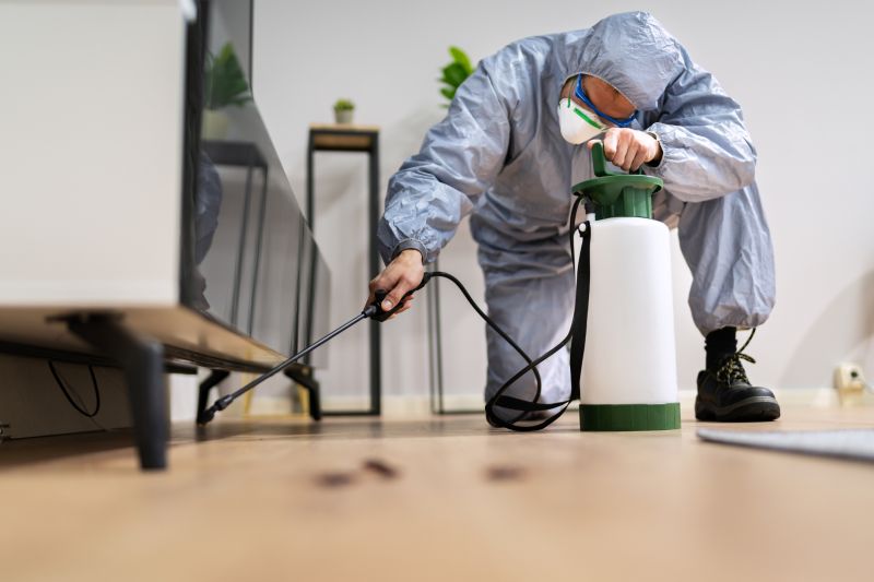 Roach Fumigation in Bellingham, WA