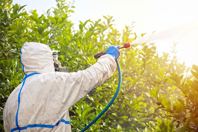 Spider Fumigation Service in Franklin, TN