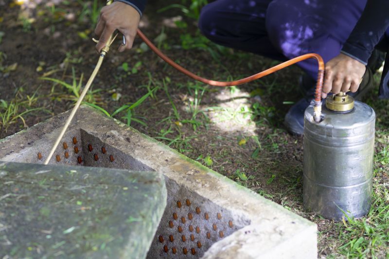 Spider Fumigation Service in Ann Arbor, MI