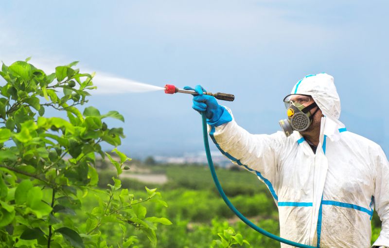 Fumigation Service in Katy, TX